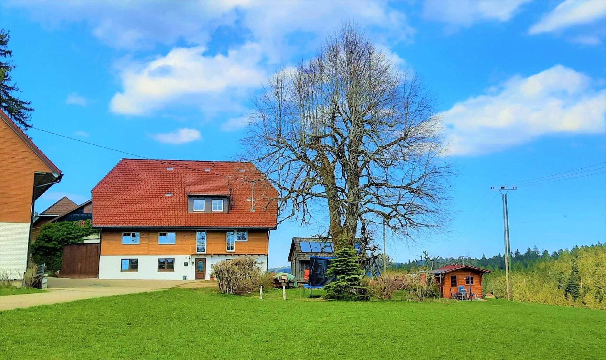 Suessen Haeusle Apartment Breitnau Bagian luar foto